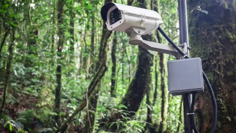 Dimension Data and Cisco take anti-poaching tech into Africa